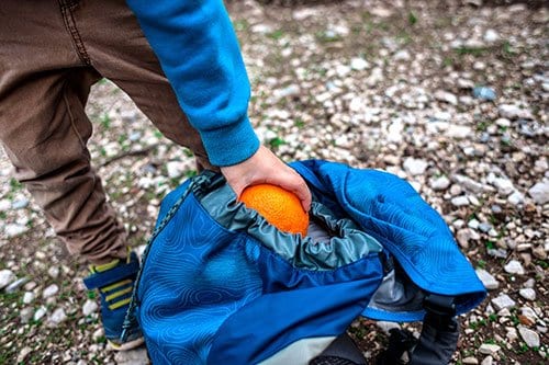 Orange in Backpack